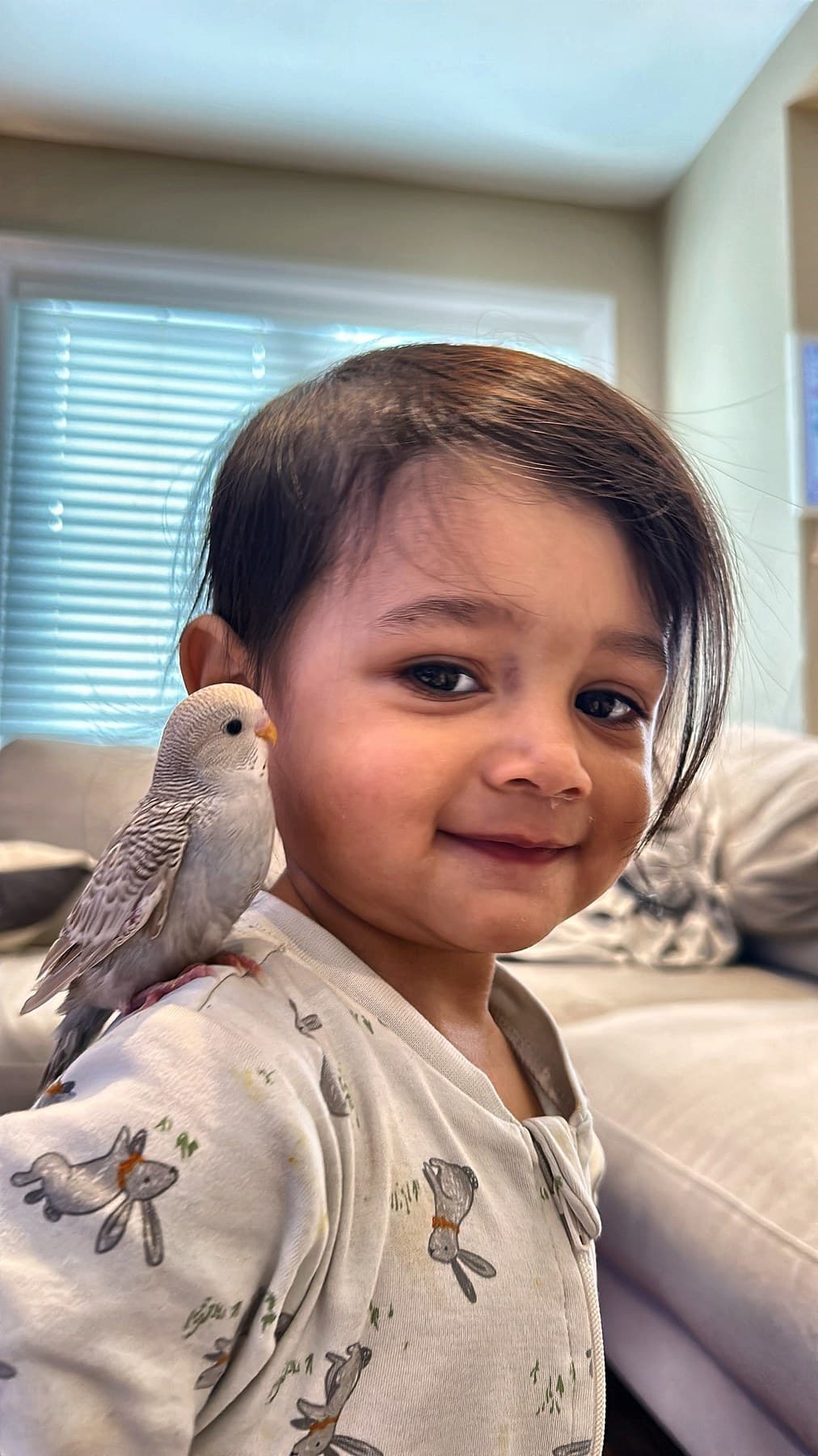 A smiling toddler with a pale grey budgie perched on her shoulder