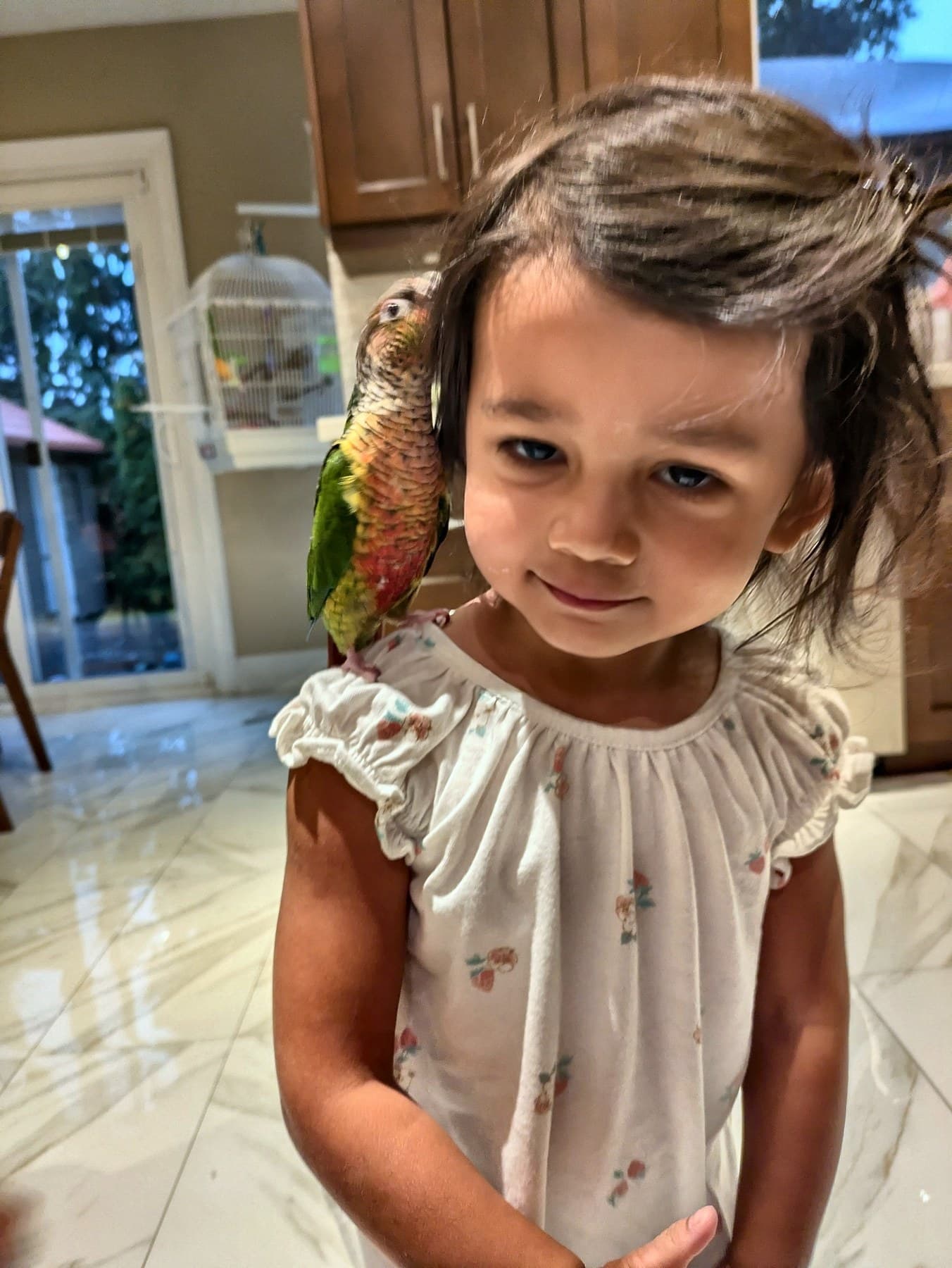 A toddler smiling shyly with a conure perched on her shoulder