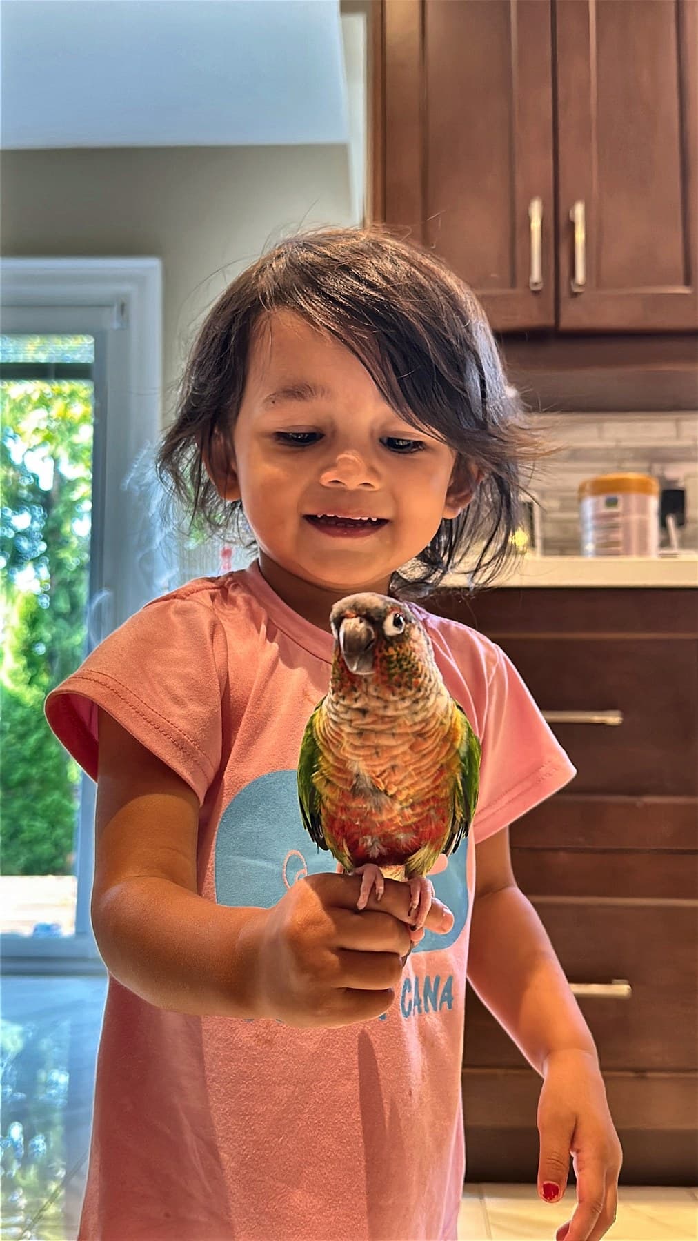 A toddler in a kitchen smiling down at a conure perched on her hand
