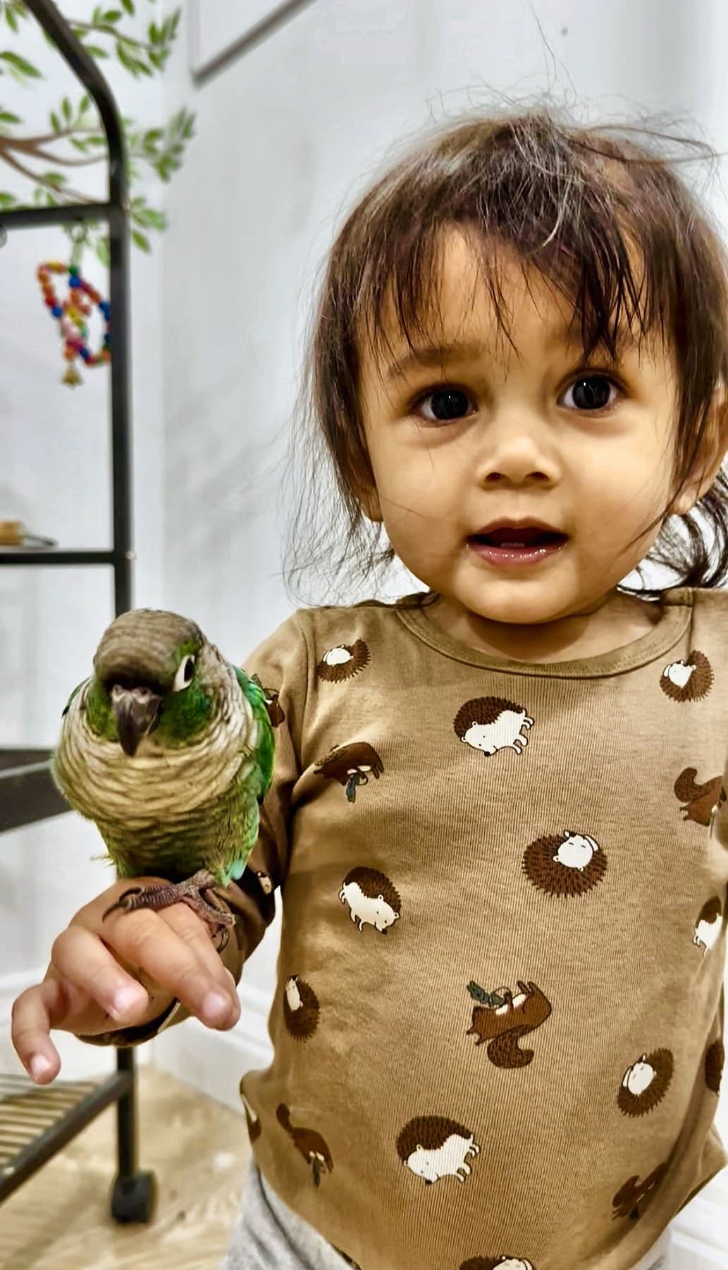 A toddler with a conure perched on her hand