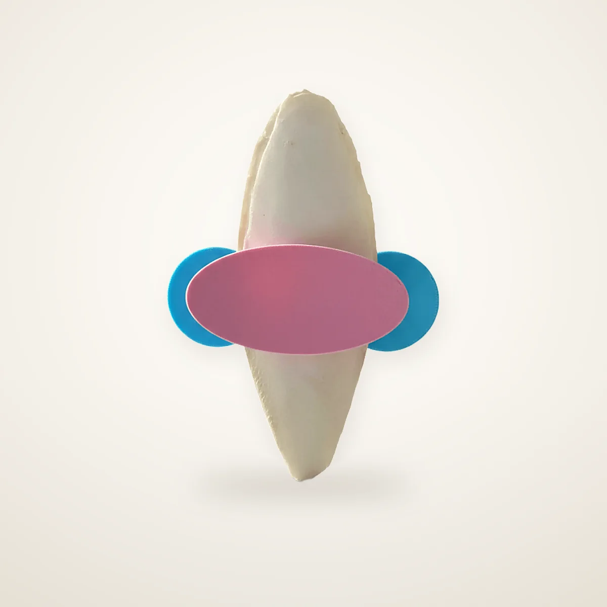 Cuttle Bone Holder