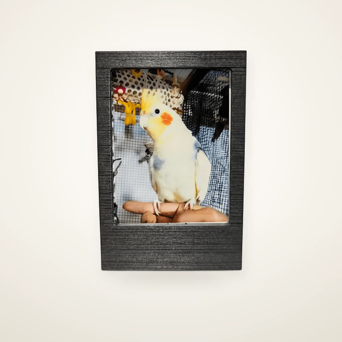 Framed Photo