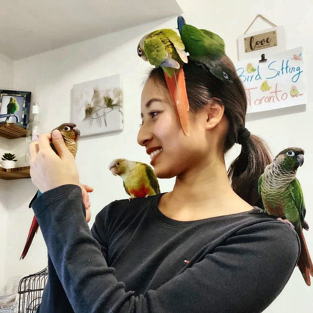 Samantha with conures on her head and shoulders, beside a hand-lettered Bird Sitting Toronto sign