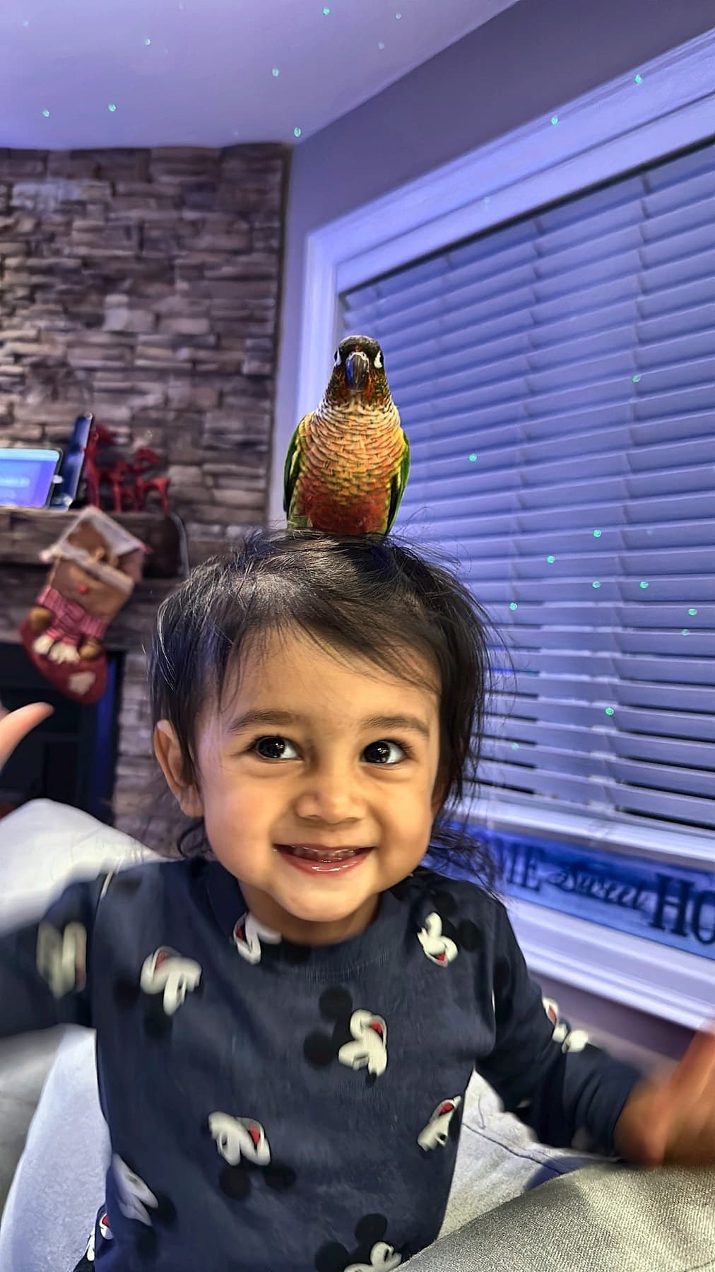 A grinning toddler with a conure perched on top of her head