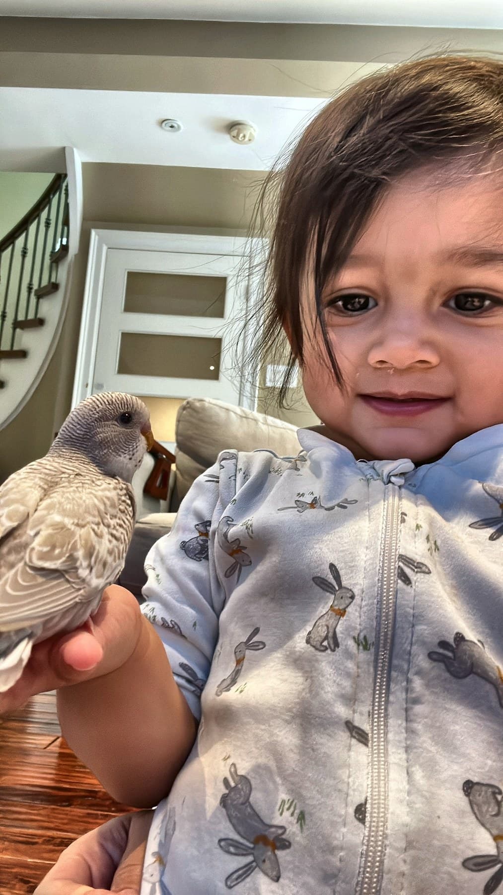A budgie perched on a hand beside a toddler in bunny pyjamas