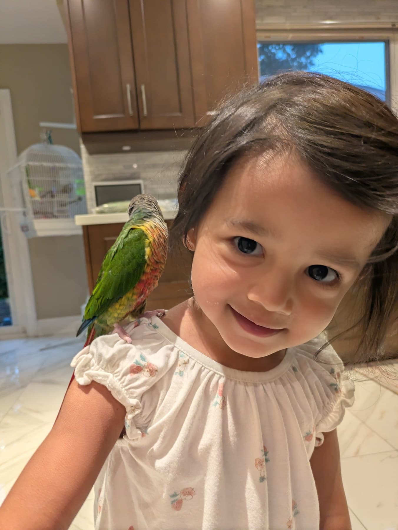 A smiling toddler with a conure perched on her shoulder