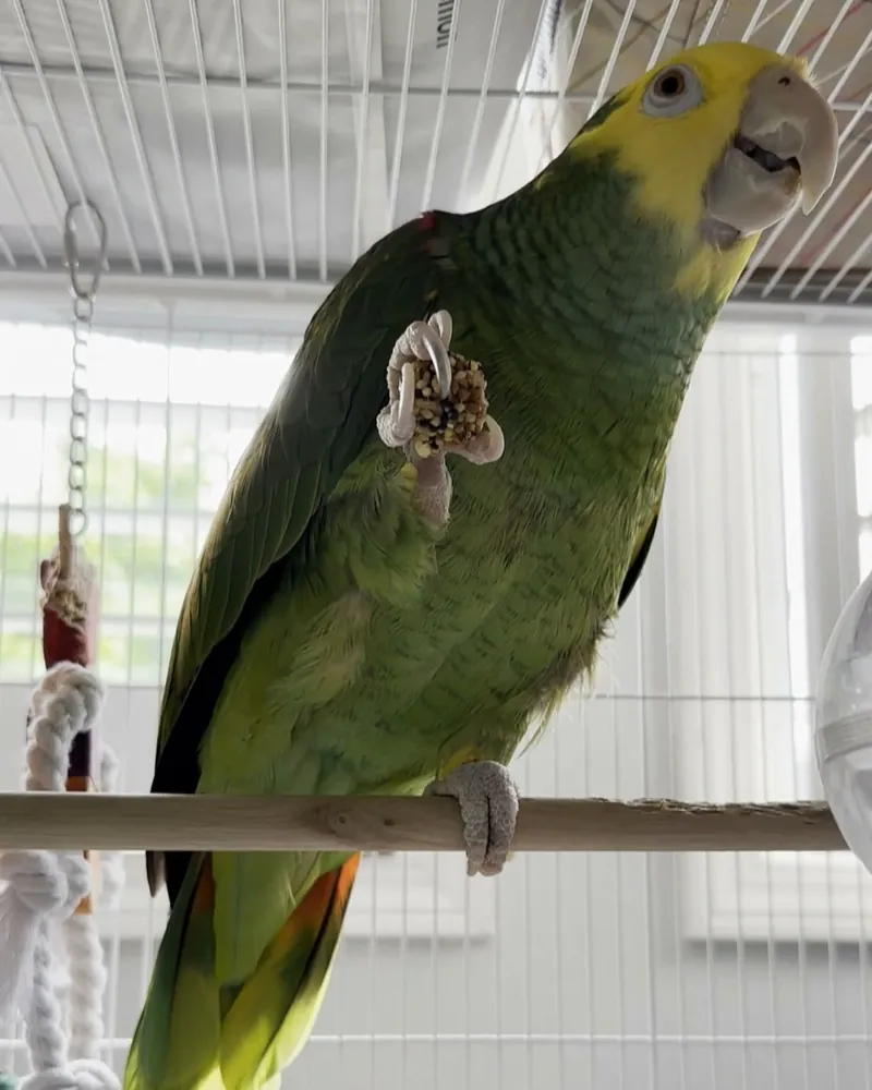 An Amazon who stayed with us