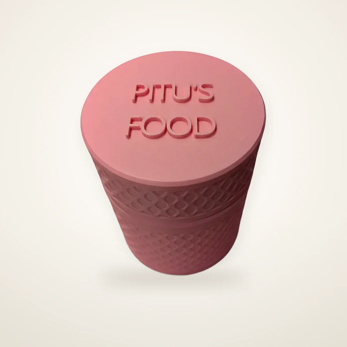 Large Food Container (Home Size) (4)