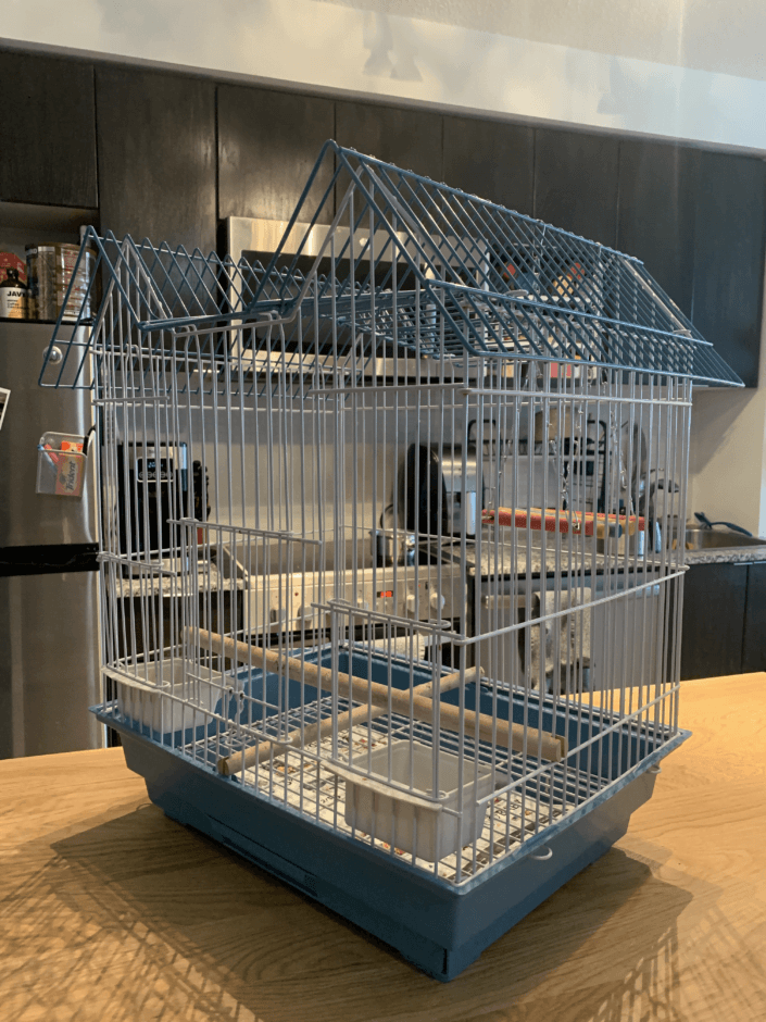 Side View of Matcha's House