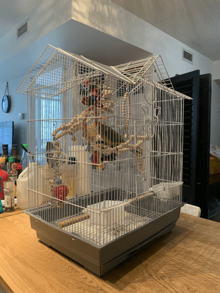 Side View of Mochi's Home