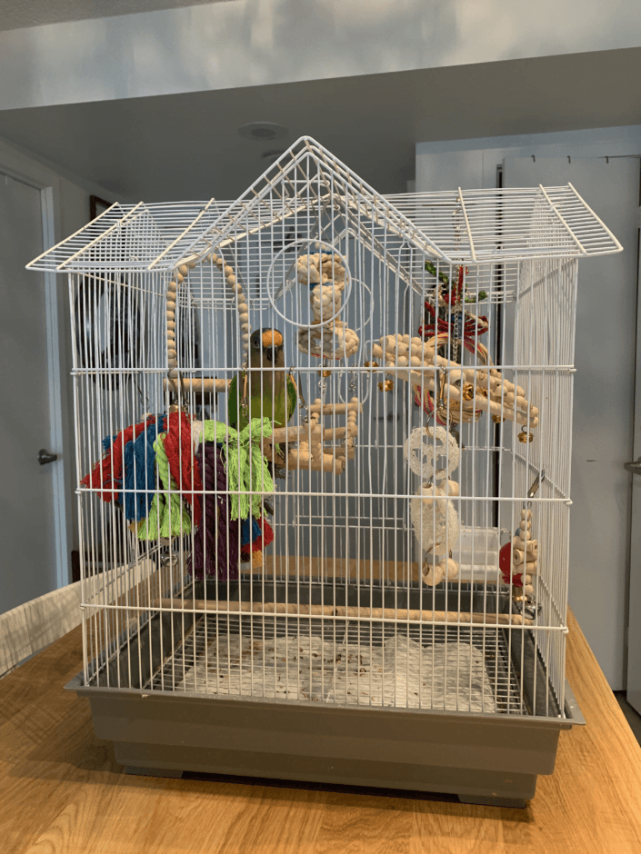 Back of Mochi's Home