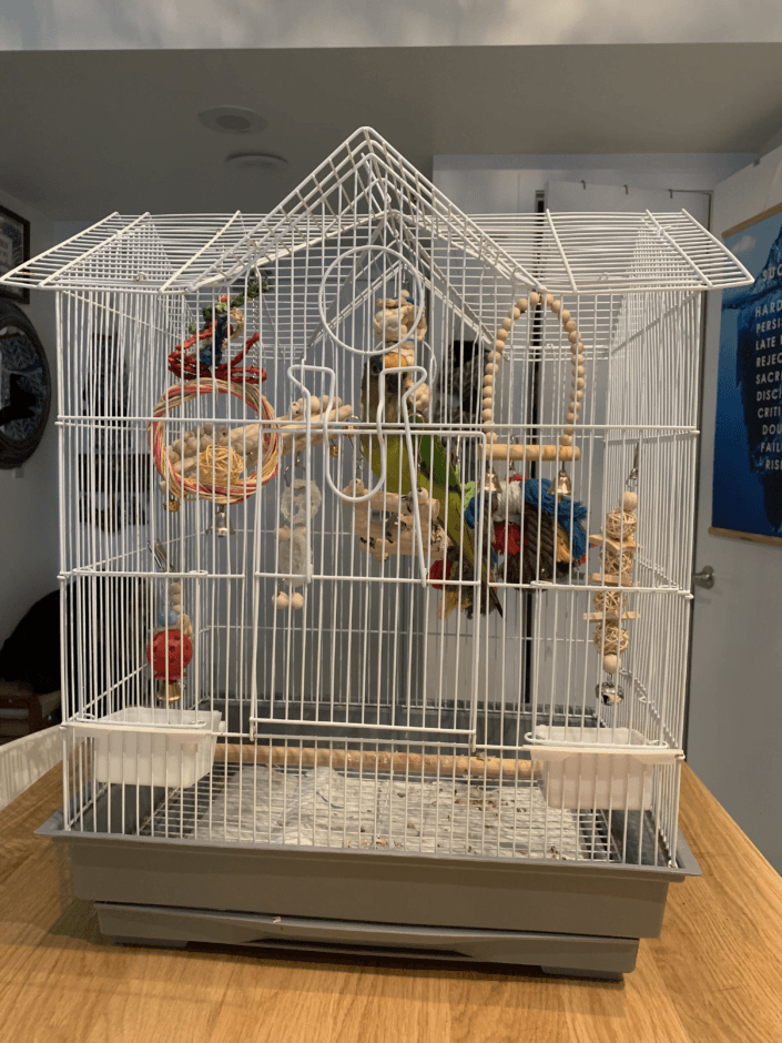 Front of Mochi's Home