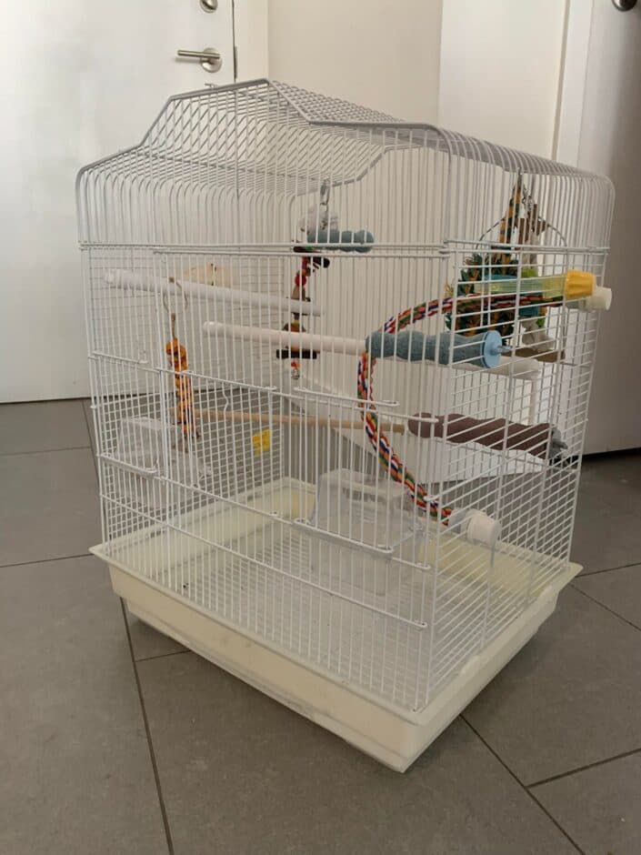 Jackson’s Home, a white cage with a play top