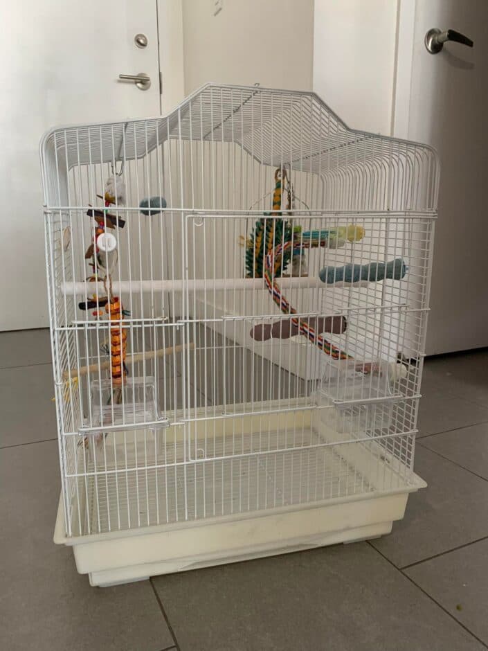 Inside Jackson’s Home, with perches and bowls