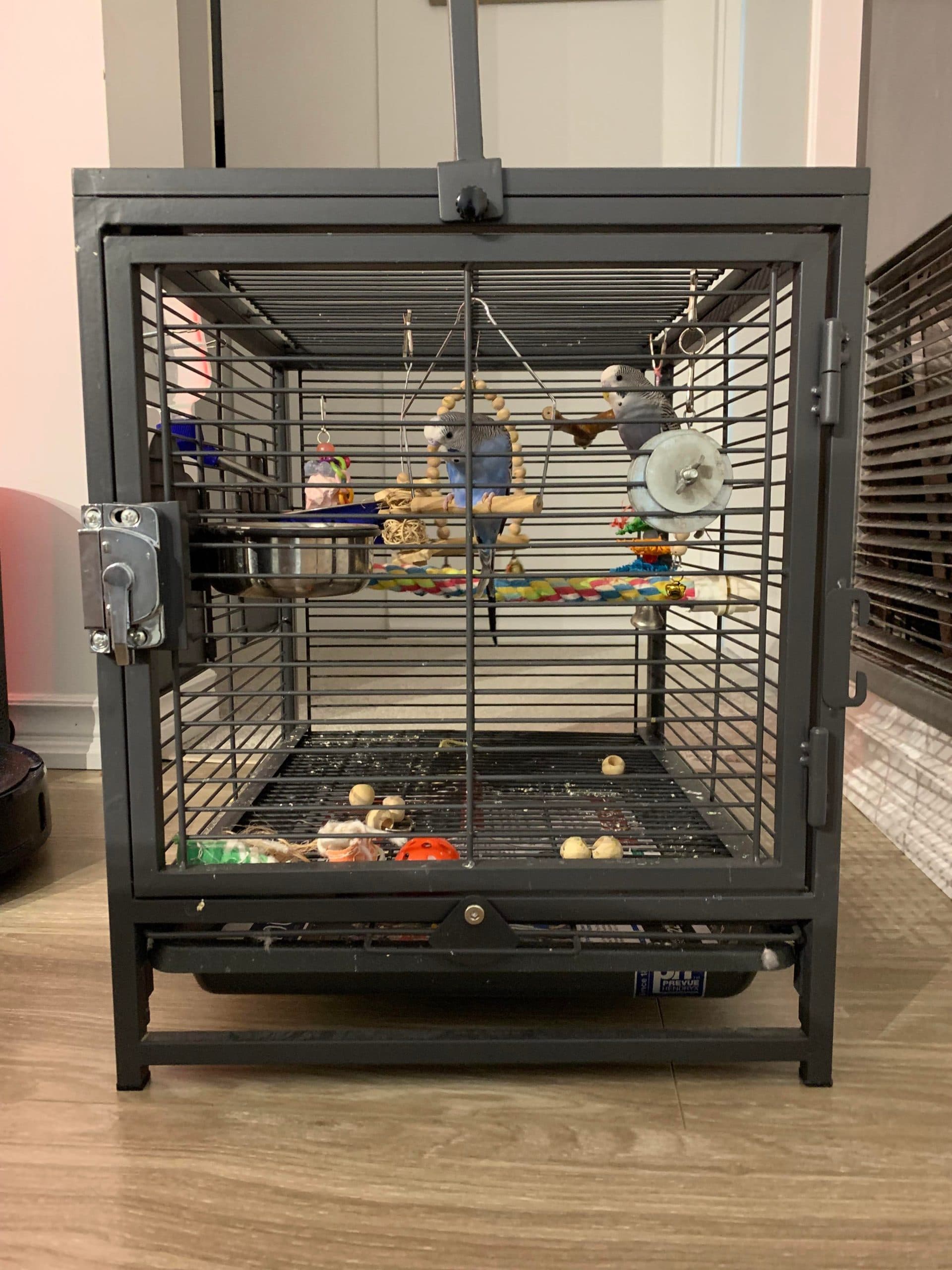 Apollo’s Home, from the front with the door open