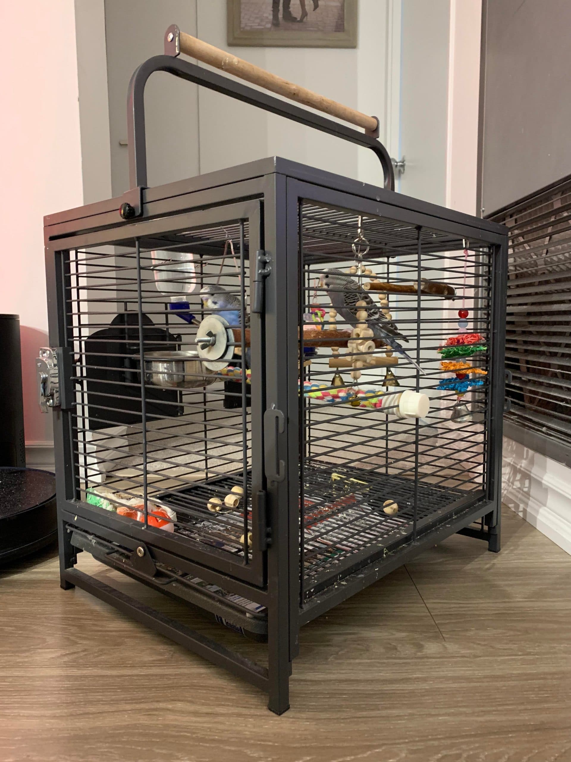Apollo’s Home, a black cast iron cage