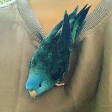 Linnie, who stayed with us
