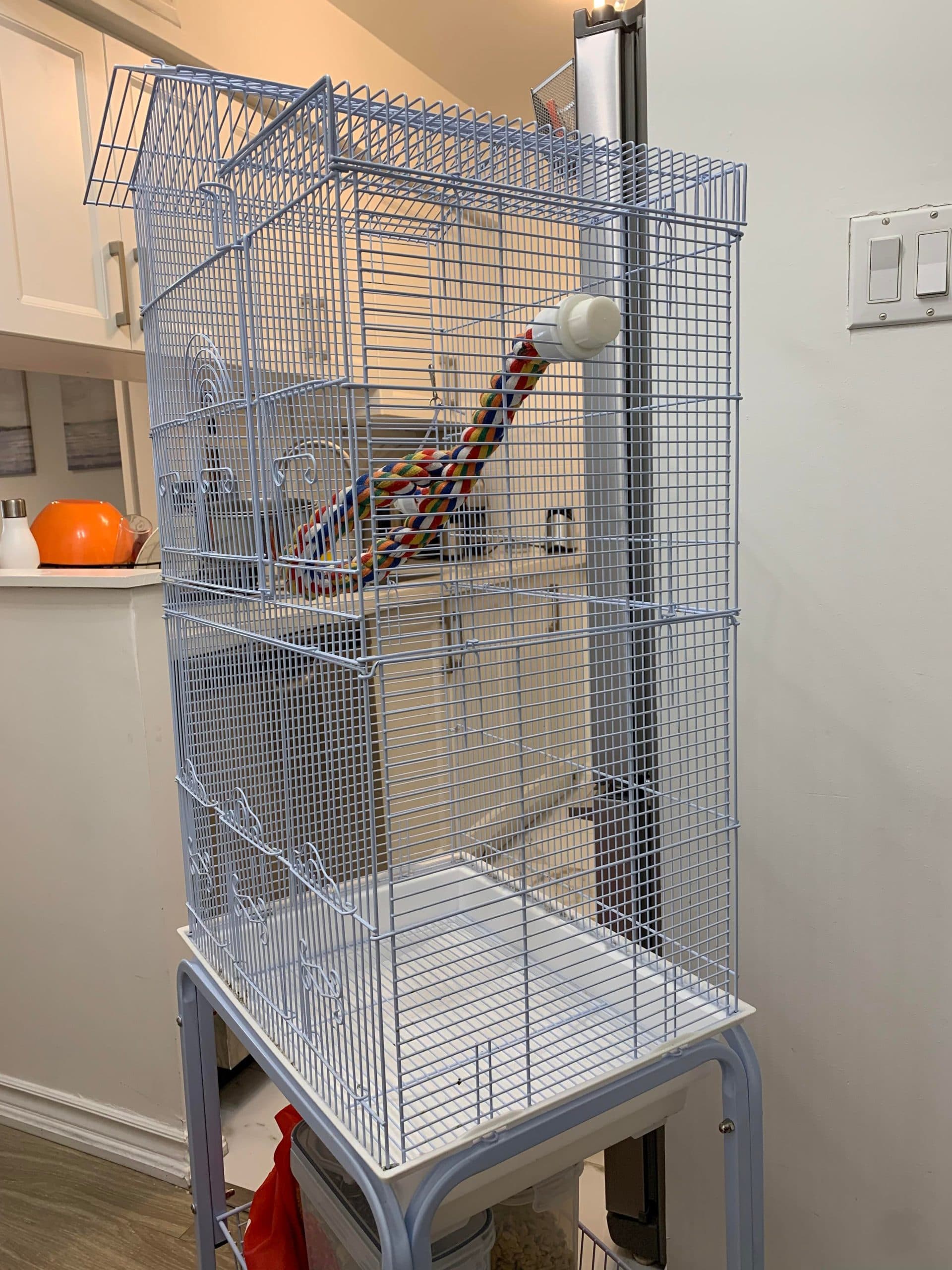 Inside Sami’s Getaway, with perches and toys