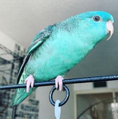 Linnie, who stayed with us