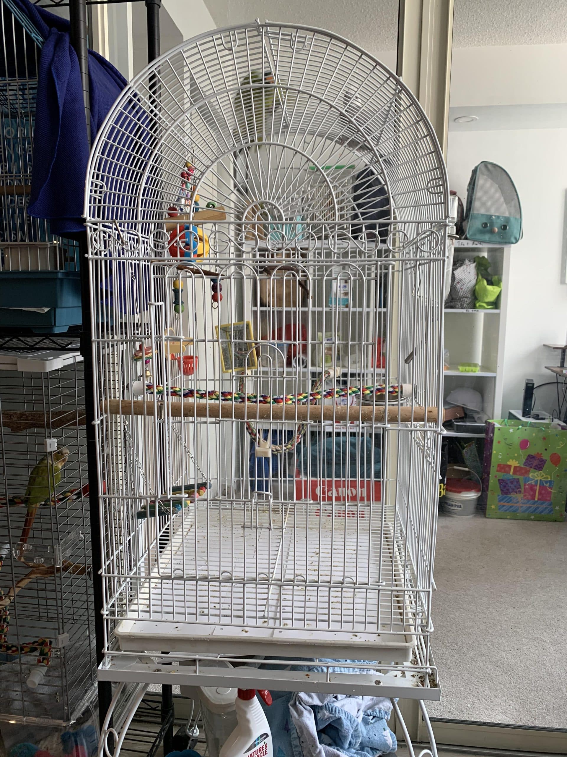 The Avian Sanctuary from the front