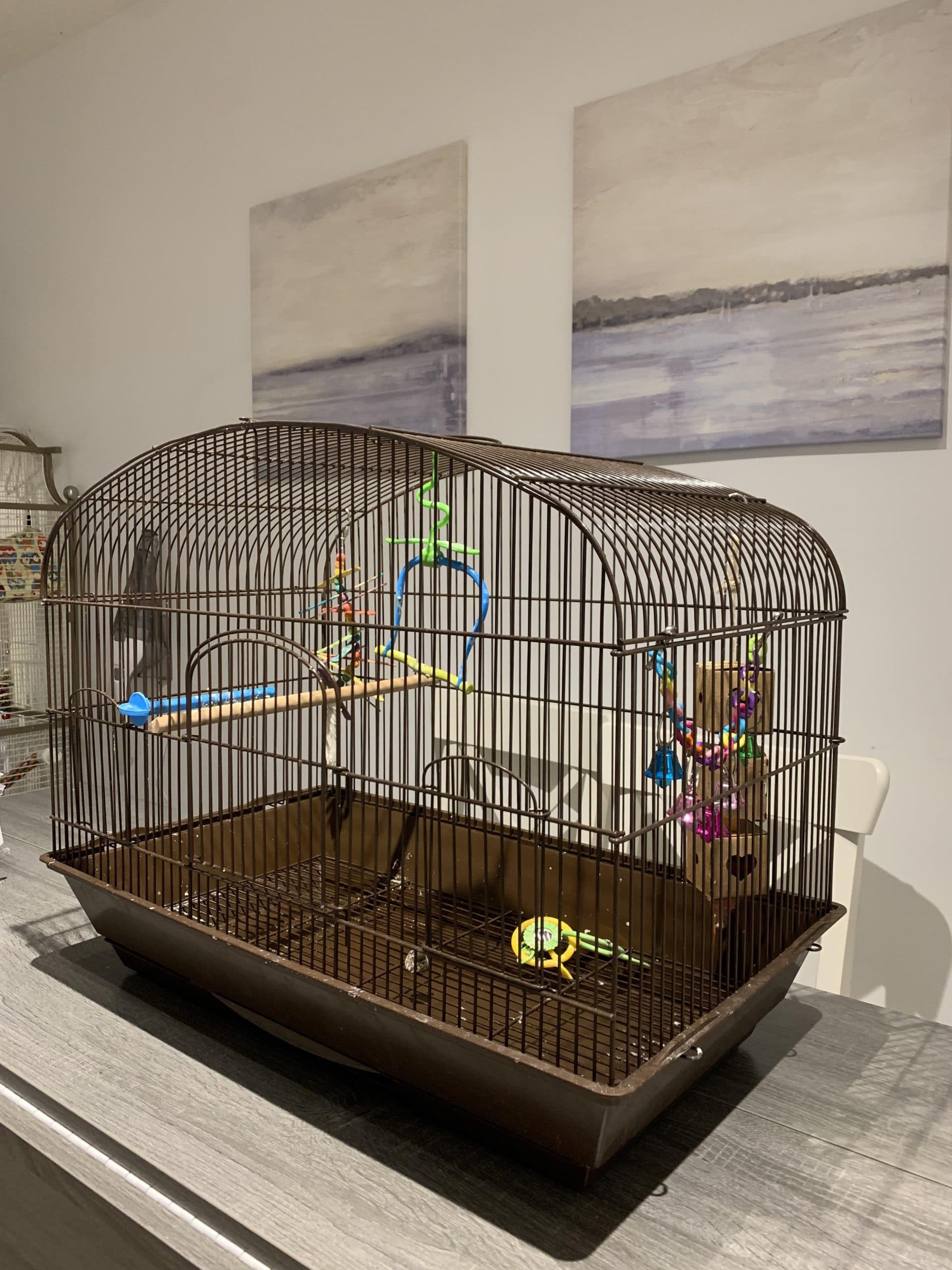 The Mahogany Villa rental cage: a brown dome-top cage with perches and toys