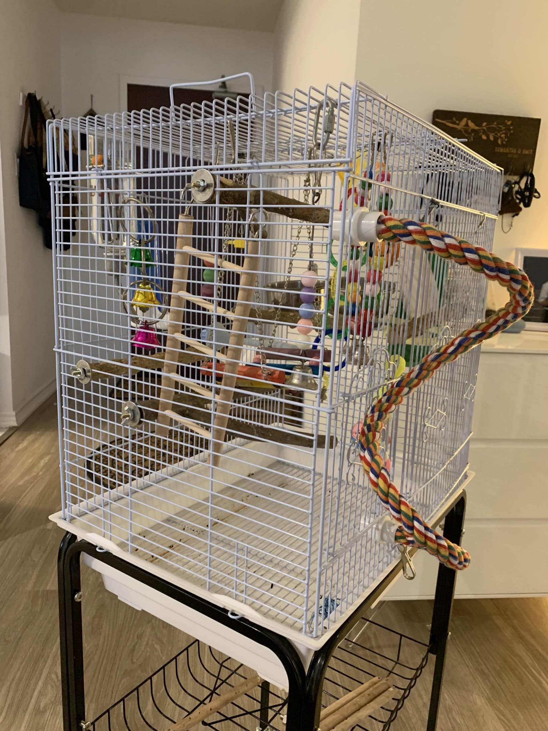 The Perch and Play rental cage: white, with a rope perch and toys, on a black stand