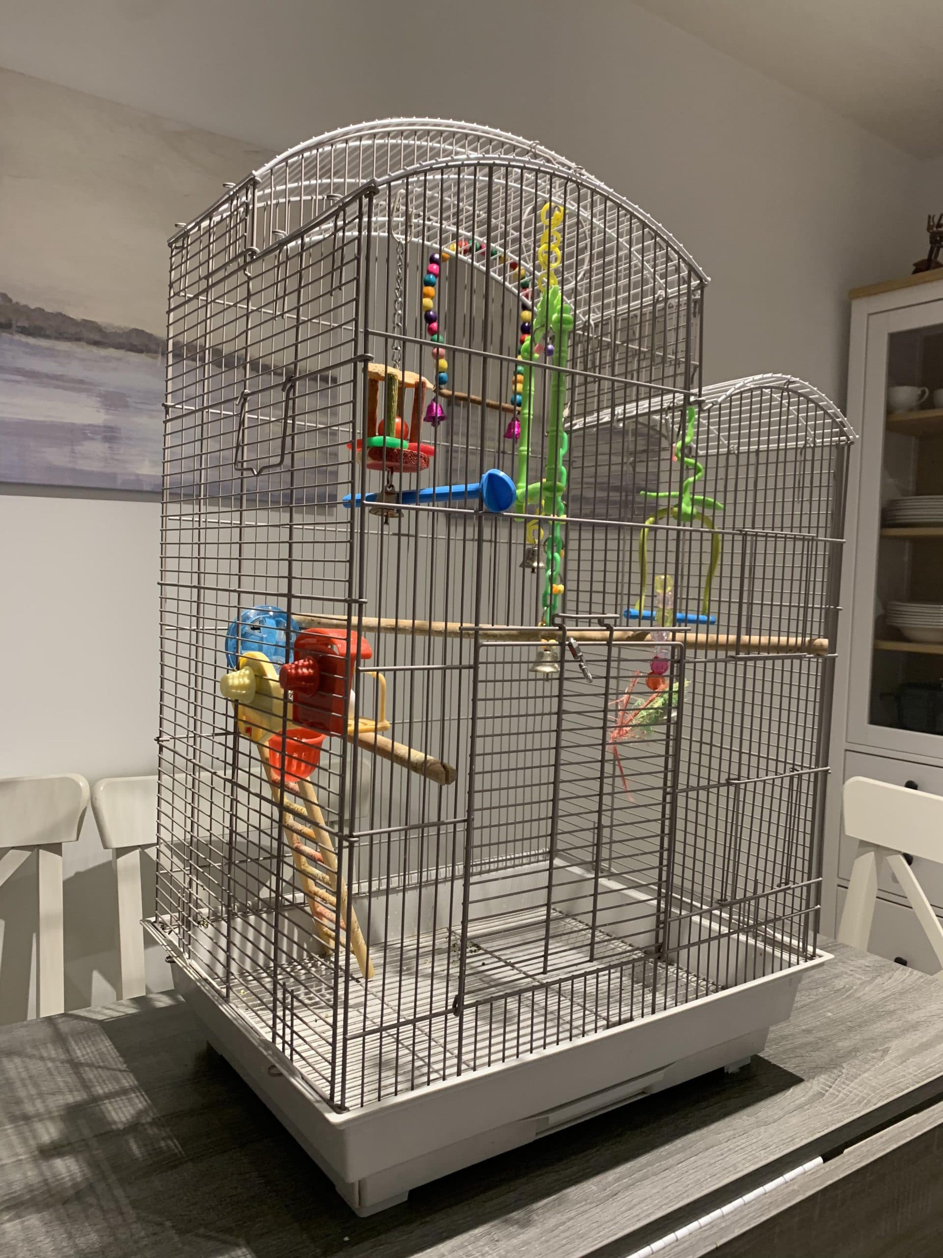 The Sky Sanctuary rental cage: a tall light-grey cage with a dome top and colourful toys