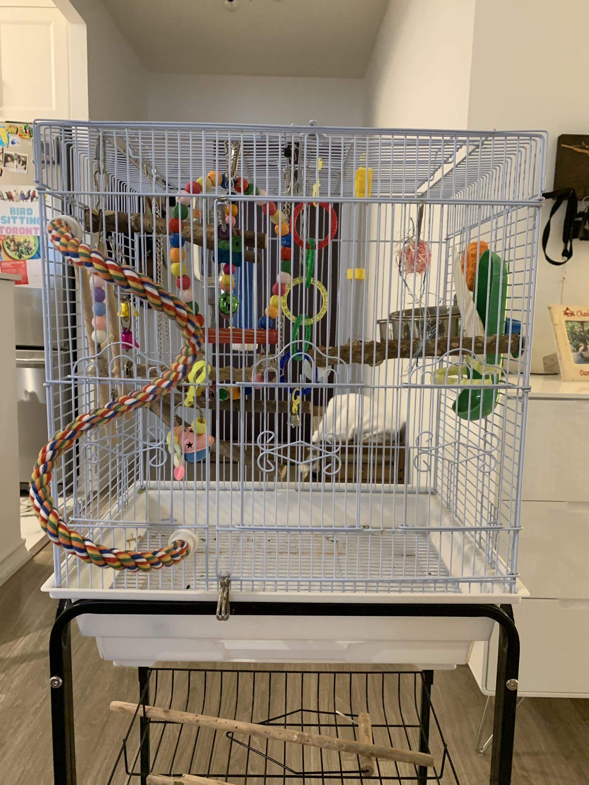 The Perch and Play cage from the front
