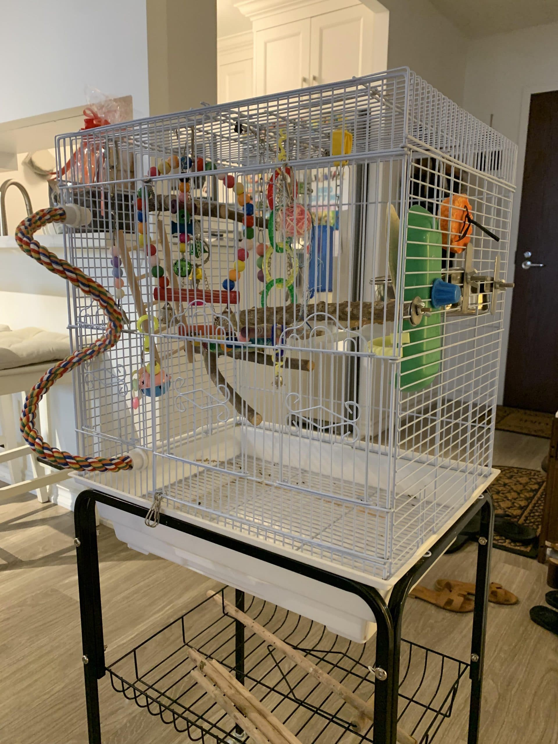 The Perch and Play cage from the side