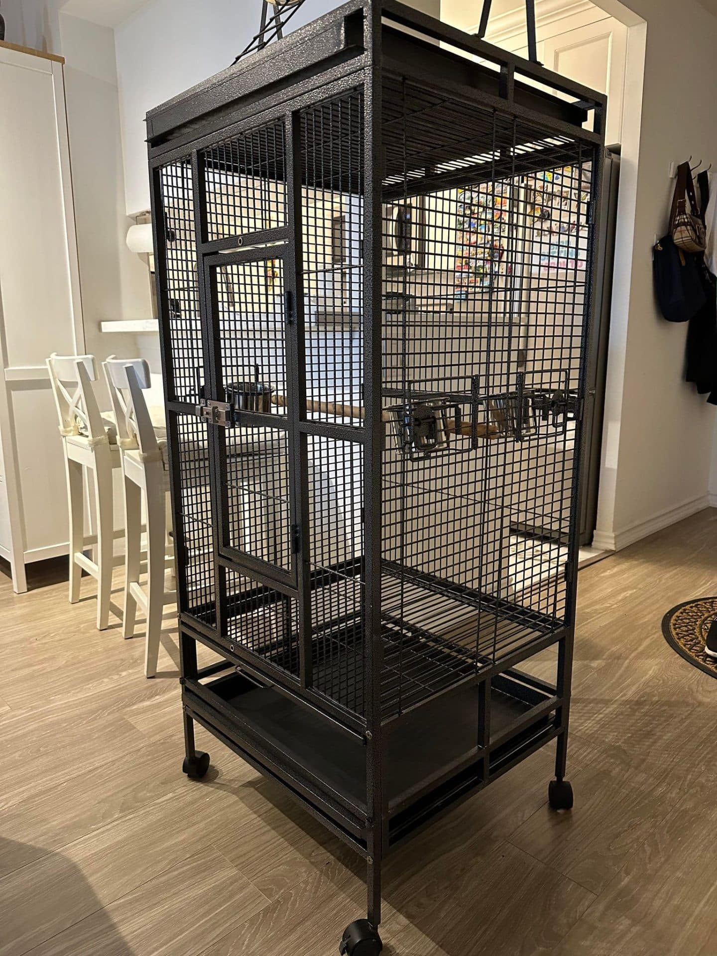 The Avian Fortress rental cage: a large black cage with a flat play-top, on wheels