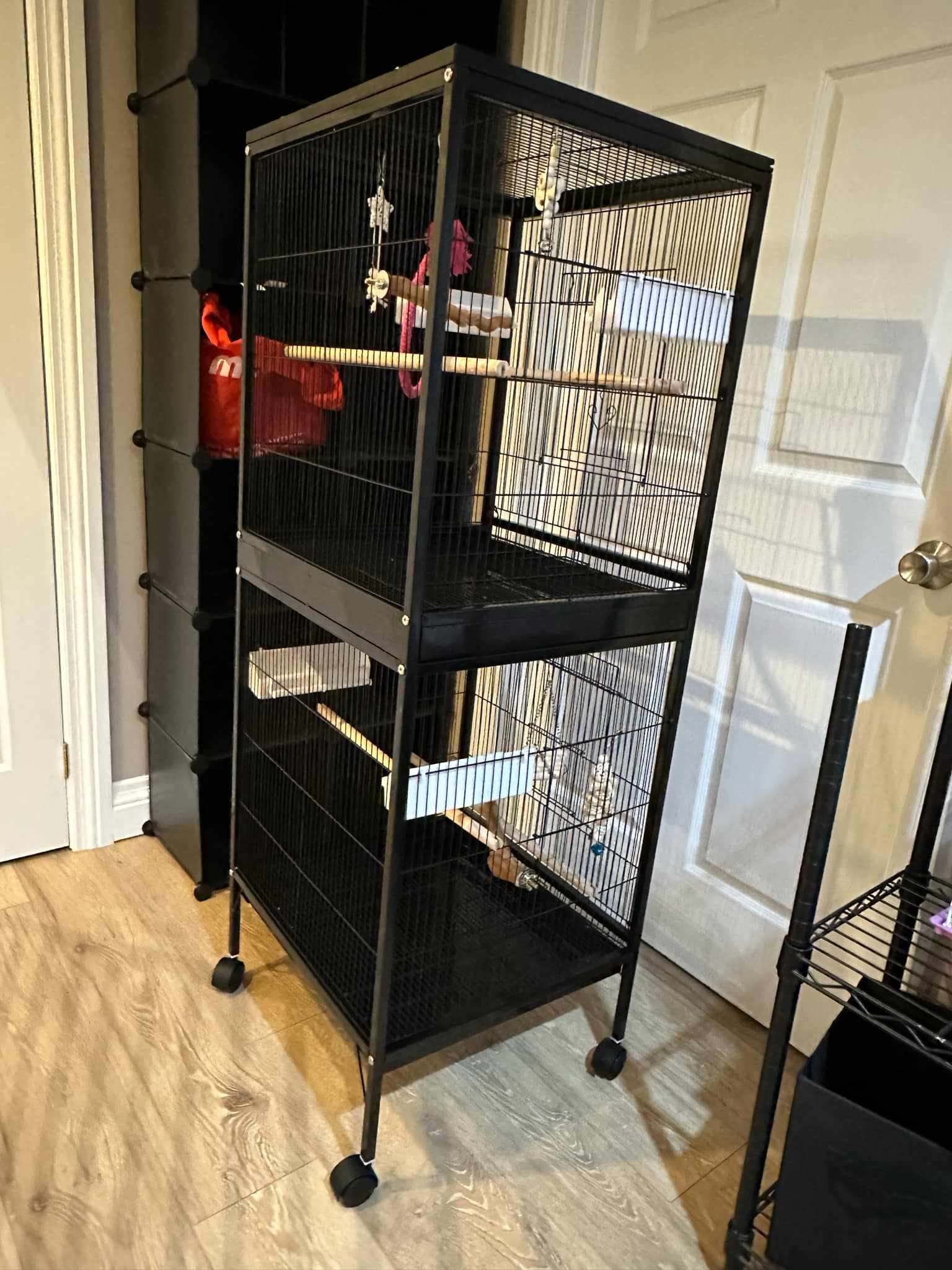 The Plumage Palace rental cage: a black cage on wheels with a shelf below