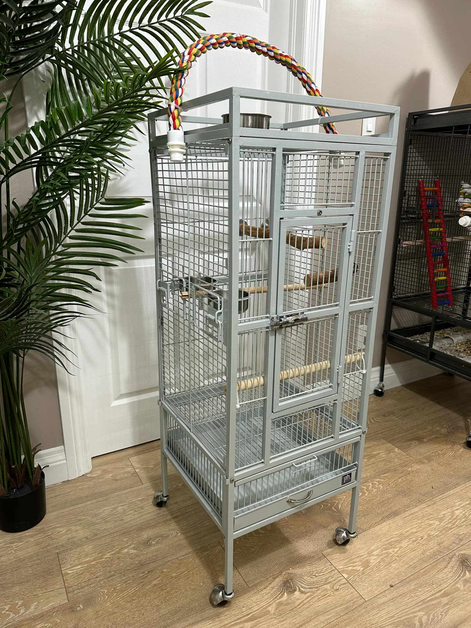 Ella’s Fortress rental cage: a tall grey cage with a play-top perch, on wheels