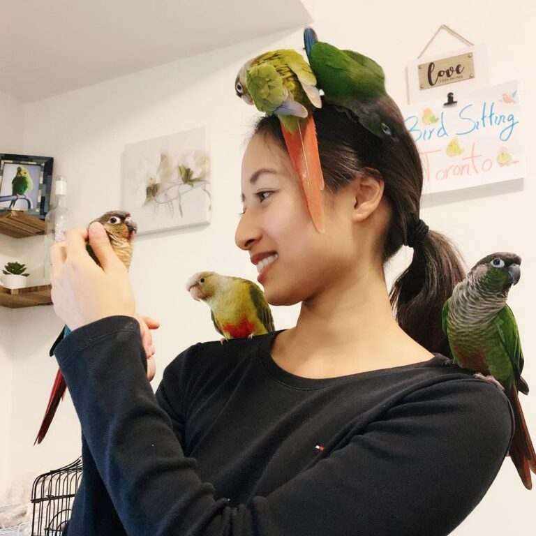 Bird Grooming Bird Sitting Toronto