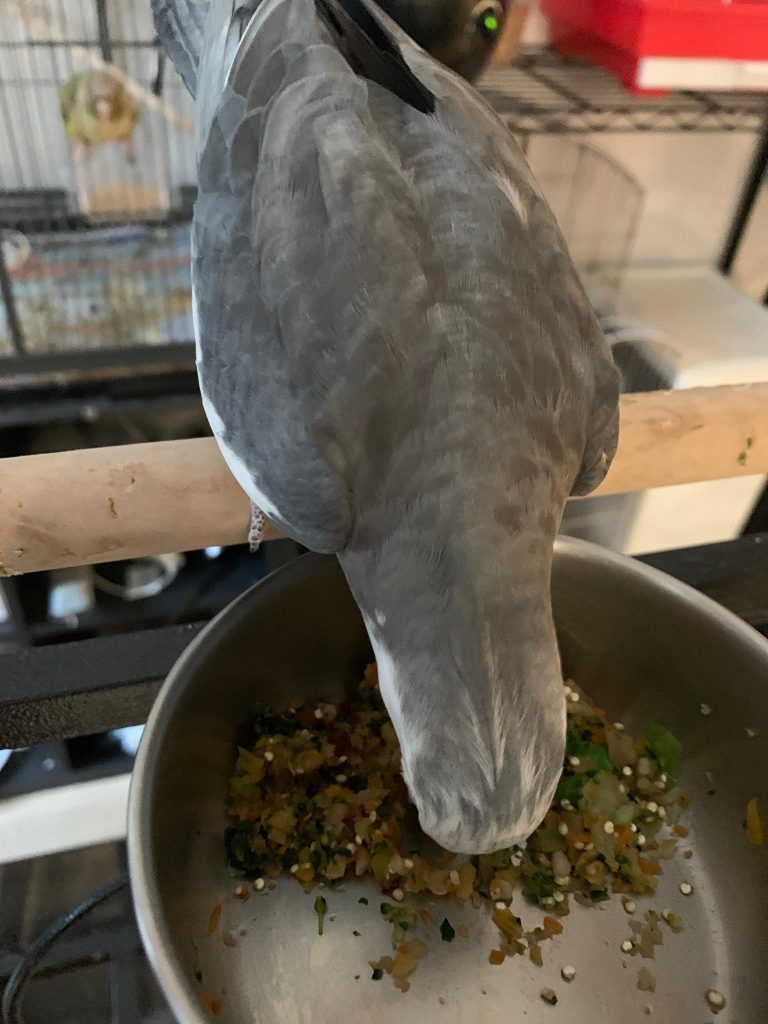 bird chop