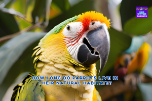 How Long Do Parrots Live in the Wild? BST