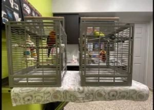 Burloak Animal Hospital