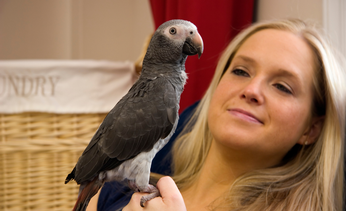 BIRD OWNER