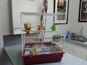 Britannia Animal Hospital