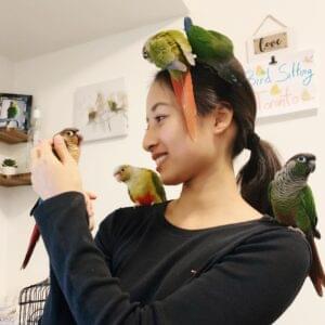 Bird Boarding Toronto