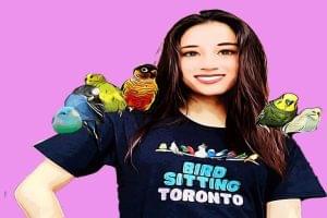 Bird Sitting toronto