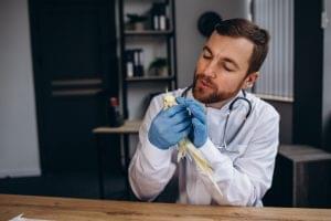 how to care for a parakeet