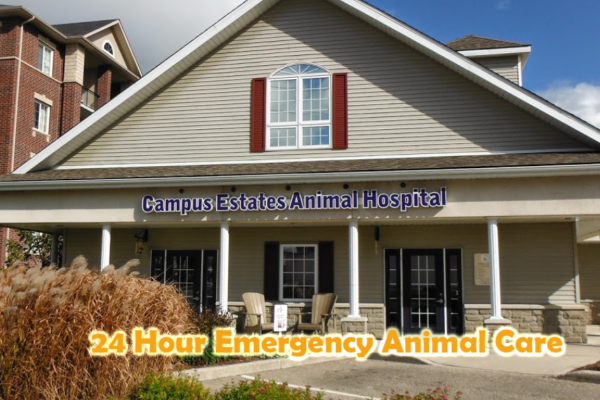 Campus Estates Animal Hospital