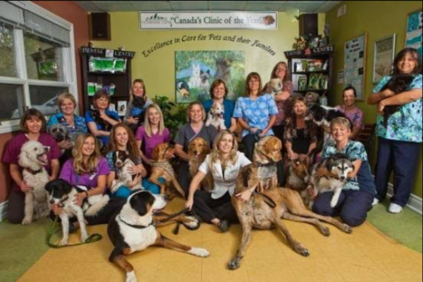 Bowmanville Veterinary Clinic