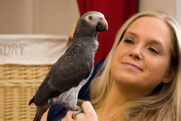 BIRD OWNER
