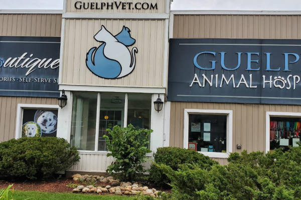 Amherst Veterinary Hospital