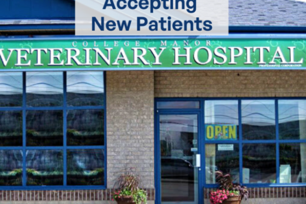 College Manor Veterinary Hospital