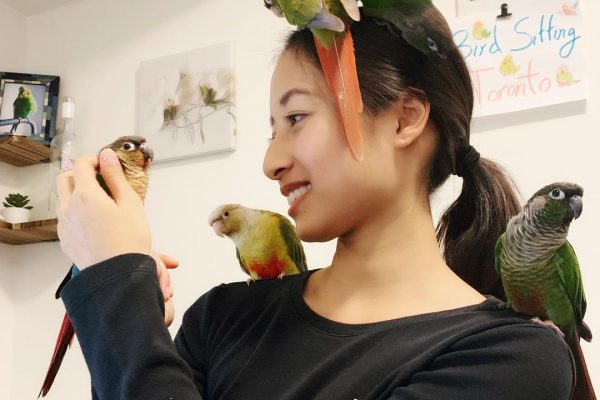 Bird Boarding Toronto