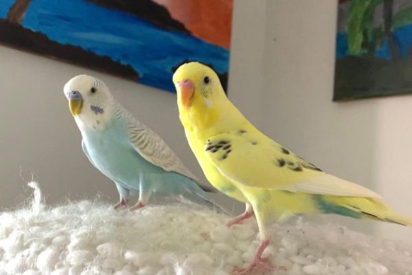 279293198_1691068591238982_5540215232627307160_n