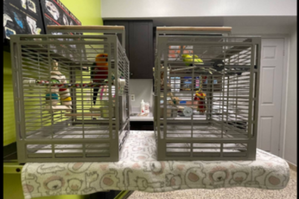 Burloak Animal Hospital