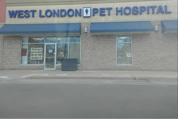 West London Pet Hospital